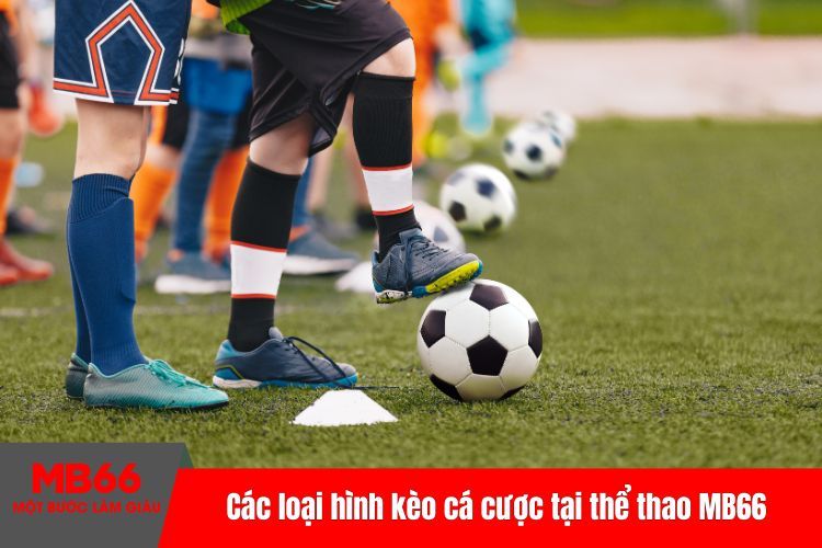 Các loại hình kèo cá cược tại thể thao MB66