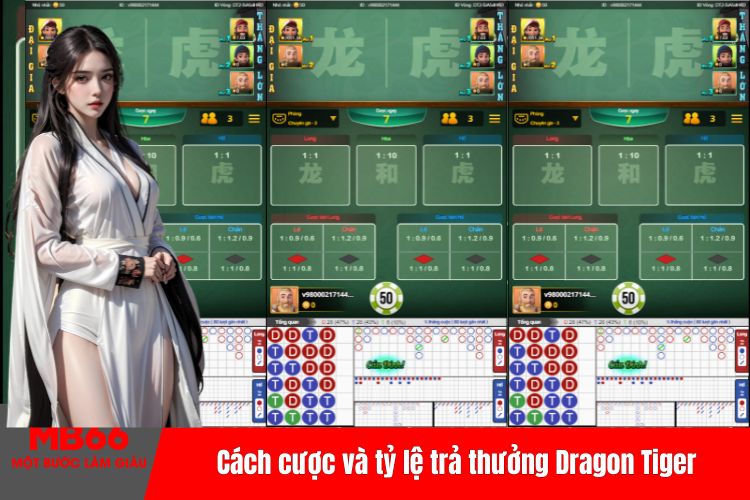 Cách cược và tỷ lệ trả thưởng Dragon Tiger