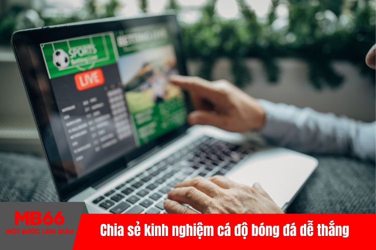 Chia sẻ kinh nghiệm cá độ bóng đá dễ thắng