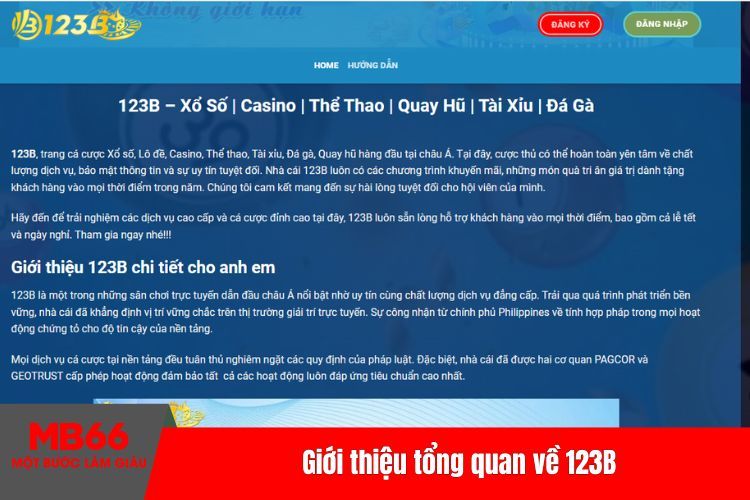 Giới thiệu tổng quan về 123B