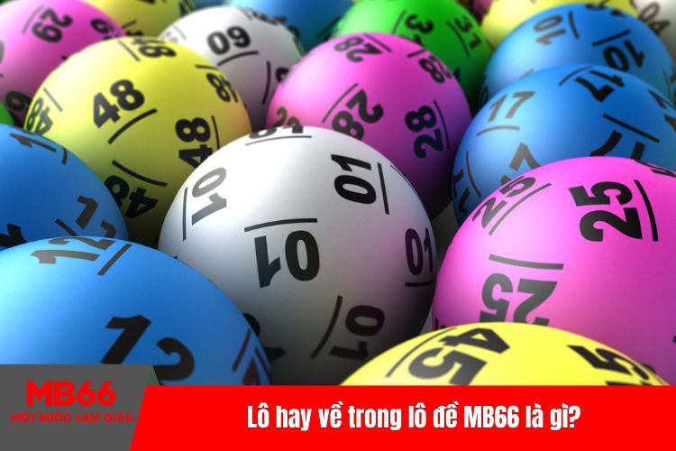 Lô hay về trong lô đề MB66 là gì?