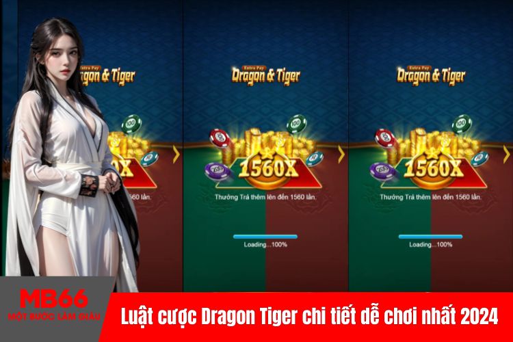 Luật cược Dragon Tiger chi tiết dễ chơi nhất 2024