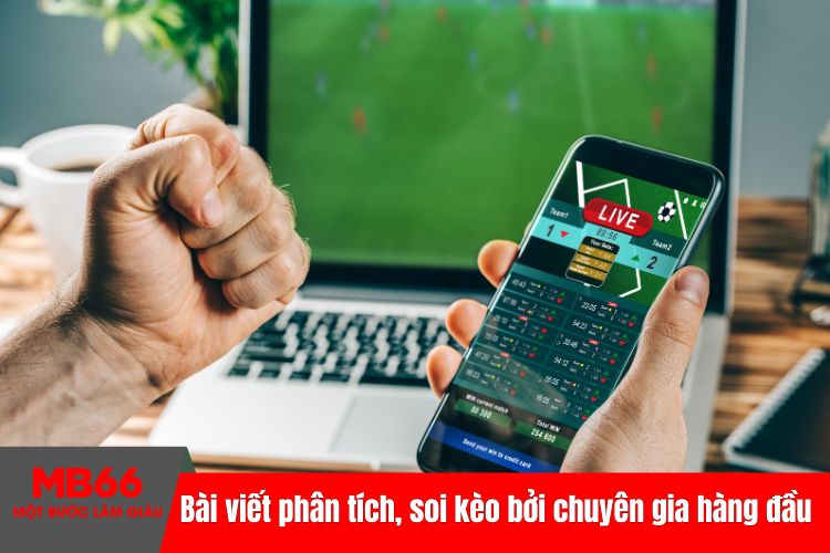 Những bài viết phân tích và soi kèo bởi chuyên gia hàng đầu