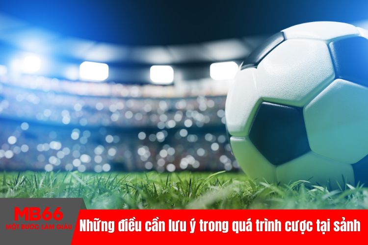 Những điều cần lưu ý trong quá trình cược tại sảnh