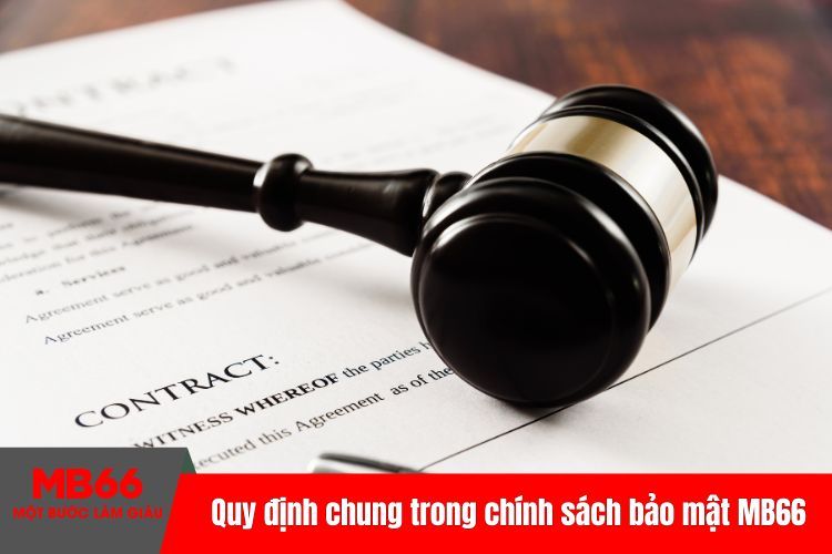 Quy định chung trong chính sách bảo mật MB66