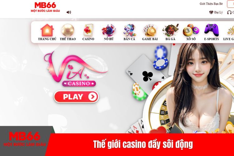 Thế giới casino đầy sôi động