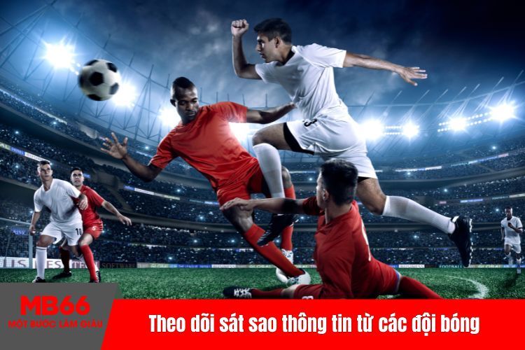 Theo dõi sát sao thông tin từ các đội bóng