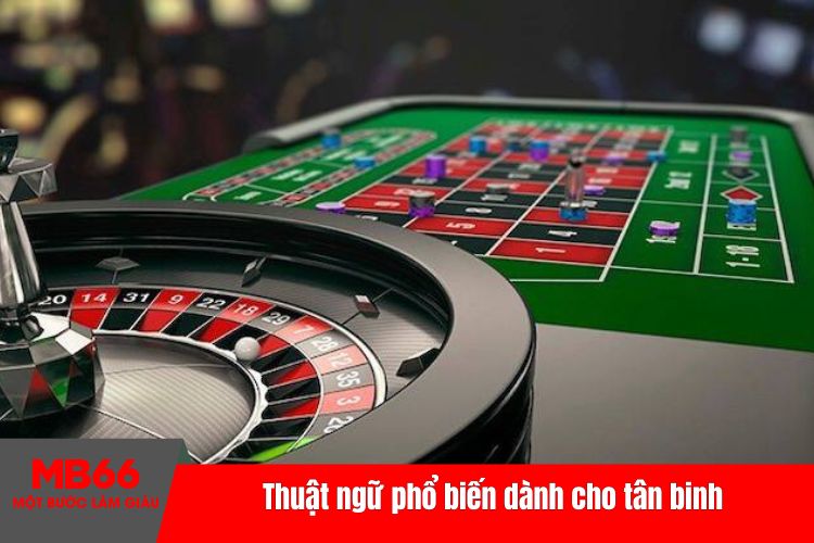 Thuật ngữ phổ biến dành cho tân binh