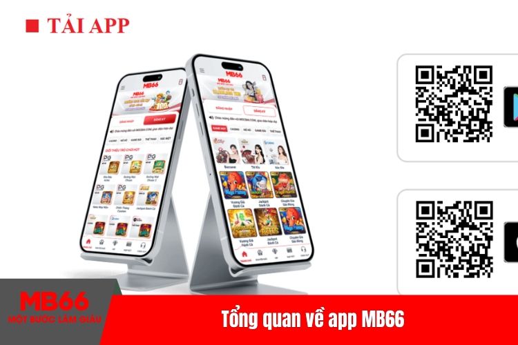 Tổng quan về app MB66